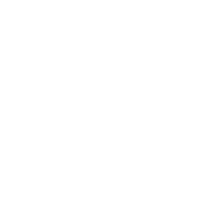 Ecommerce & DTC Audits